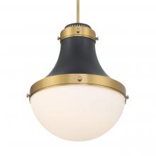 Minka-Lavery 3934-876 - PURELIGHT - 1 LIGHT PENDANT