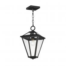 Maxim 30569CLBK - Prism-Outdoor Pendant